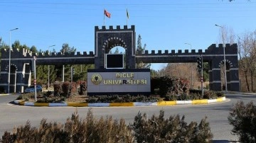 Dicle Üniversitesi'nde dehşet! Eski öğrenci dekan yardımcısını bıçakladı