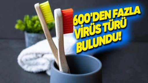 Diş Fırçaları ve Duş Başlıklarında Yüzlerce Virüs Keşfedildi