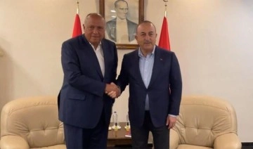 Dışişleri Bakanı Mevlüt Çavuşoğlu, resmi temaslarda bulunmak üzere Mısır'a gidiyor