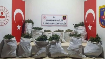 Diyarbakır'da jandarma 240 kilogram esrar ele geçirdi!