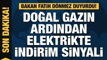 Doğalgazın ardından elektrikte indirim sinyali! Bakan açıkladı