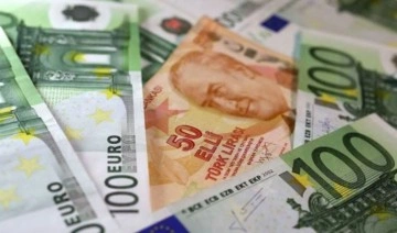 Dolar ve Euro ne kadar oldu? (30 Ocak 2023)