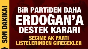 DSP'den Erdoğan'a destek kararı