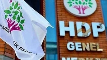 Dünyaca ünlü 53 akademisyen ve siyasetçiden HDP'ye destek