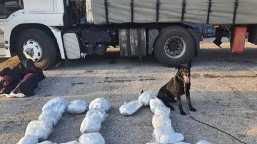 Durdurulan tırda narkotik köpeklerinin yardımıyla 8,5 kilogram uyuşturucu ele geçirildi