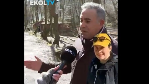 Ece Gürel'in patronu konuştu: Kaybolmasının iş yeri ile hiçbir ilgisi yok.