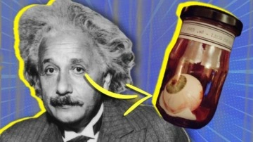 Einstein'ın Gözleri Neden Bedeninden Başka Bir Yerde?