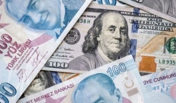 Ekonomist Özcan Kadıoğlu doların 20 yıllık seyrine dikkat çekti