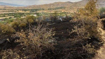 Elazığ’da çıkan yangında 150 dönüm tarım arazisi zarar gördü