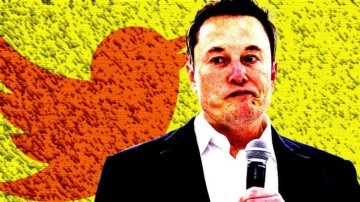 Elon Musk'tan Anket: "Twitter Başkanlığını Bırakmalı mıyım?"