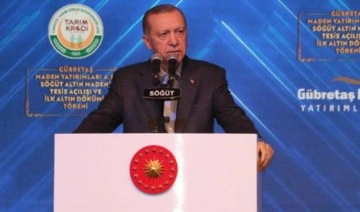 Erdoğan, Bilecik Valisi Kemal Kızılkaya’yı 'azarlamıştı'... İşte perde arkası