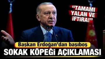 Erdoğan'dan son dakika başıboş sokak köpeği açıklaması: Yalan ve çarpıtma