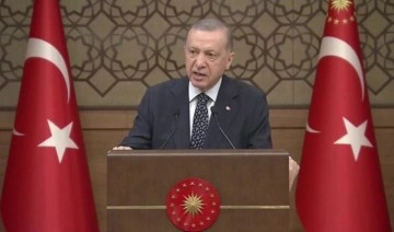 Erdoğan: İnsan hakları göz göre göre ihlal ediliyor