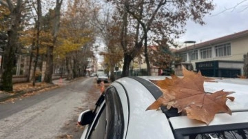 Eskişehir'de sokaktaki sonbahar manzarası mest etti