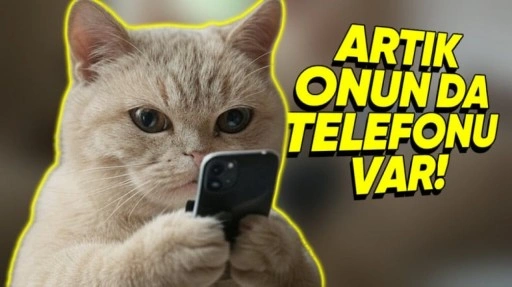 Evcil Hayvanlar İçin Üretilen İlk Akıllı Telefon Tanıtıldı