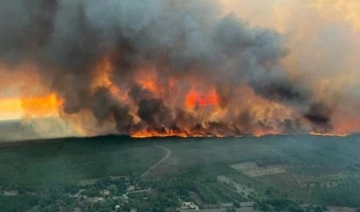 Fransa'da Gironde vilayetindeki yangında 3 bin hektardan fazla yeşil alan yandı