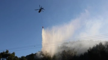 Hatay'da çıkan orman yangını kontrol altında