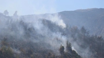 Hatay'da orman yangını çıktı