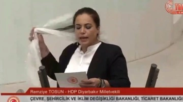 HDP'li Remziye Tosun başındaki tülbendi yere fırlattı