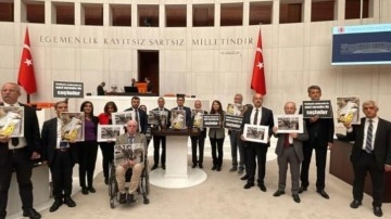 HDP'li vekillerden TBMM'de eylem