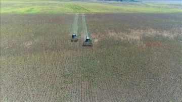 İki yıl üst üste işlenmeyen tarım arazileri kiraya verilecek