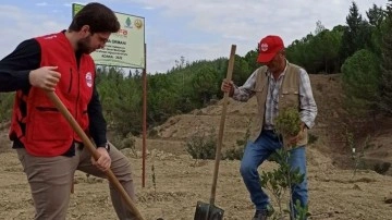 İlkay Gündoğan, Adana'da 5 bin fidan diktirdi