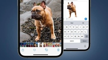 iOS 16’nın Kullanmayı Bırakamayacağınız Özelliği Ortaya Çıkt