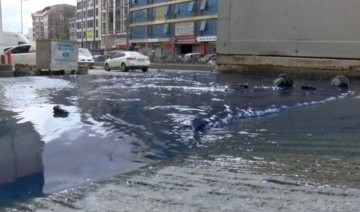 İSKİ'den 'mavi su' açıklaması: 'Çok sayıda ponza taşı çıkartıldı'