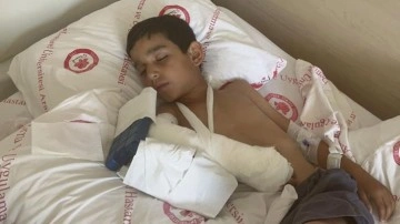 Isparta'da başıboş köpeklerin saldırdığı çocuk yaralandı