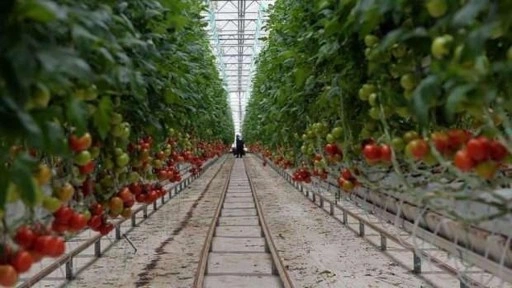 İsrail'den sonra Türkiye'yi zehirleyecekler! Bir bir çalıp götürüyorlar