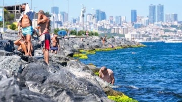 İstanbul'da sıcak havadan bunalanlar denize girerek serinledi