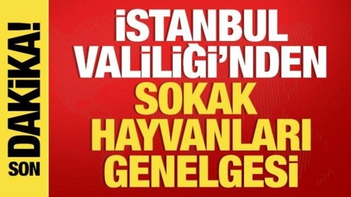 İstanbul Valiliği'nden sokak hayvanları ile ilgili genelge