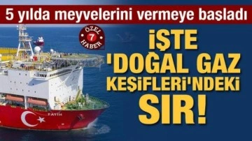 İşte 'doğal gaz keşifleri'ndeki sır: 5 yılda meyvelerini vermeye başladı