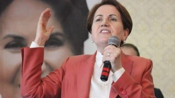 İşte İyi Parti'nin İzmir Belediye Başkan adayı! Meral Akşener duyurdu