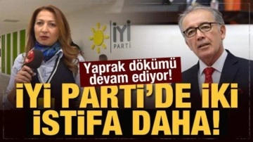 İYİ Parti'nin kurucularından Ahat Andican ve Emine Küçükali istifa etti!