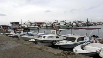 İzmir'de balıkçı barınağından gelen kokuyla dehşet ortaya çıktı