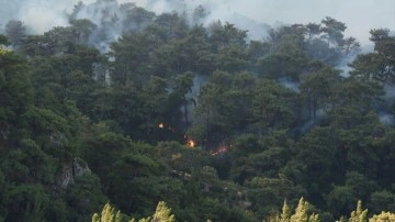 İzmir'de orman yangını! Havadan müdahale yeniden başladı