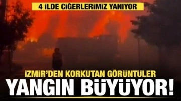 İzmir, Manisa, Balıkesir ve Kütahya’da orman yangını