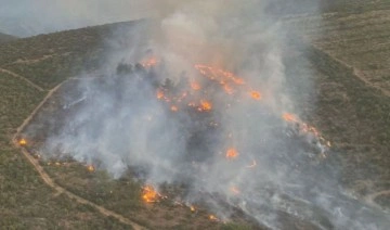 İzmir Torbalı’da orman yangını