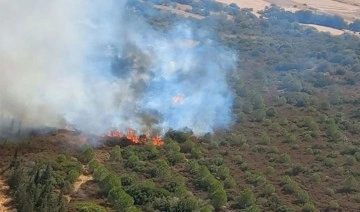 İzmir'de makilikte çıkan yangına müdahale ediliyor