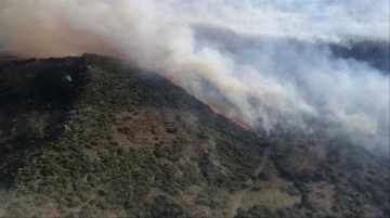 İzmir'de ormanlık alanda yangın çıktı! Havadan ve karadan müdahale ediliyor