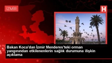 İzmir'deki orman yangınında 12 kişi etkilendi