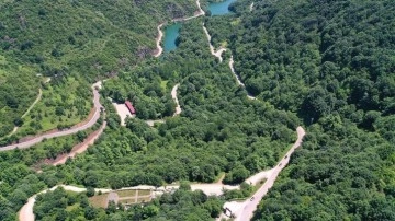 Kandıra'da ormanlık alanlara girişler yasaklandı