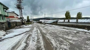 Kars dolu yağışıyla birlikte beyaza büründü