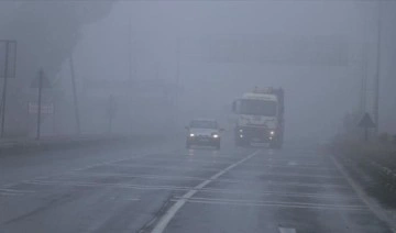 Kars'ta yoğun sis etkili oldu