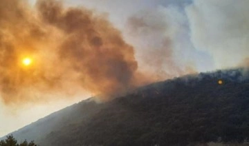 Kaş'ta makilik alanda yangın çıktı: Müdahale sürüyor