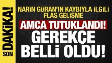 Kayıp Narin olayında son dakika gelişmesi! Amca tutuklandı: Gerekçe belli oldu