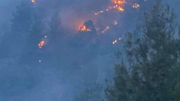 Kayseri'nin Yahyalı ilçesindeki orman yangını kontrol altına alındı
