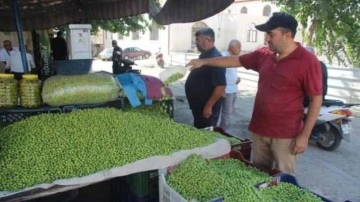 Kilis&rsquo;te yerli sofralık zeytin tezgahlarda yerini aldı