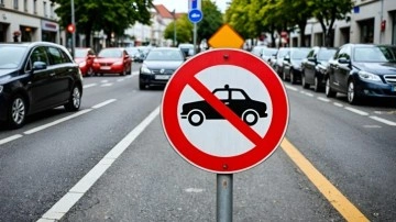 Kim demiş, Almanlar trafik kuralı ihlal etmez diye! Bu anket sizi şaşırtabilir